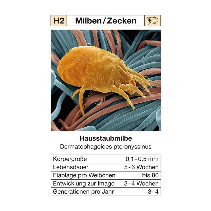 quartettspiel "ungeziefer"