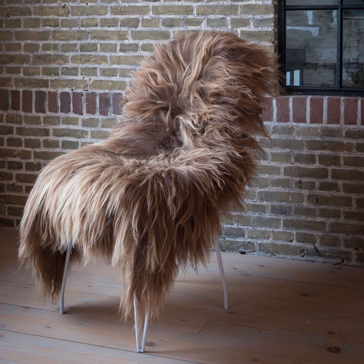 isländisches schaffell