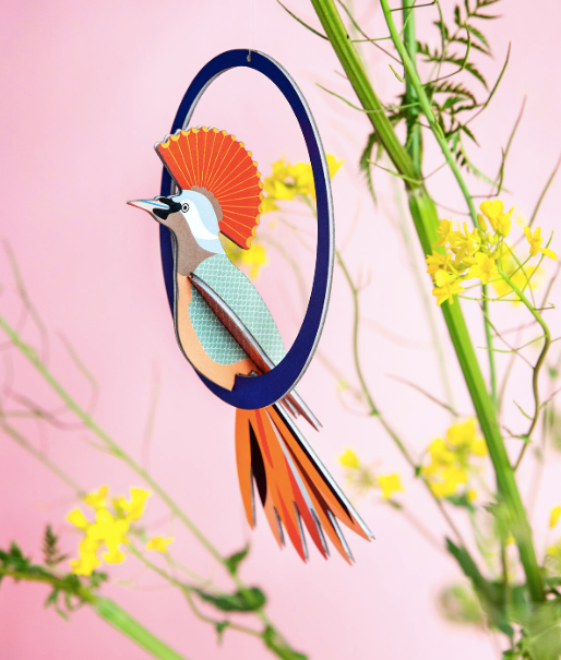 pop out card swinging crowned obi