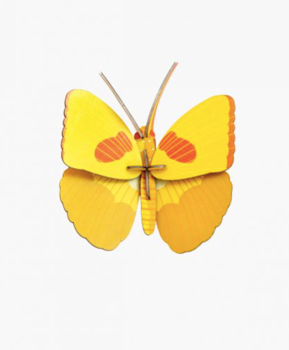 yellow butterfly