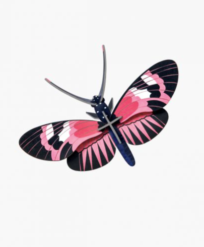 longwing butterfly