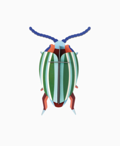 rainbow leaf beetle