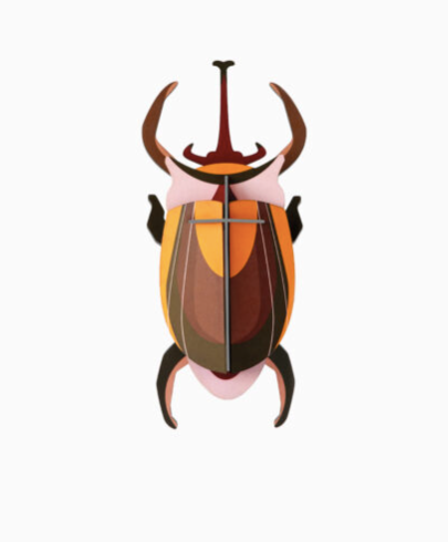 elephant beetle