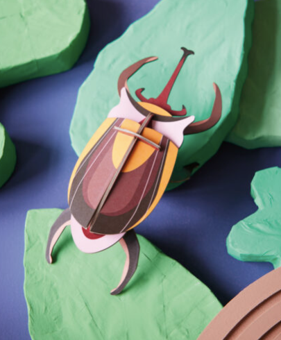 elephant beetle