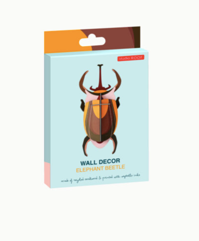 elephant beetle