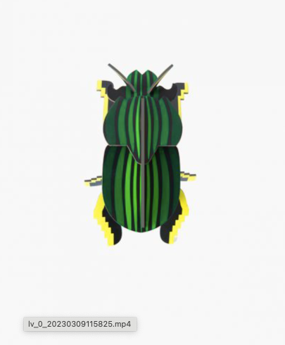scarab beetle