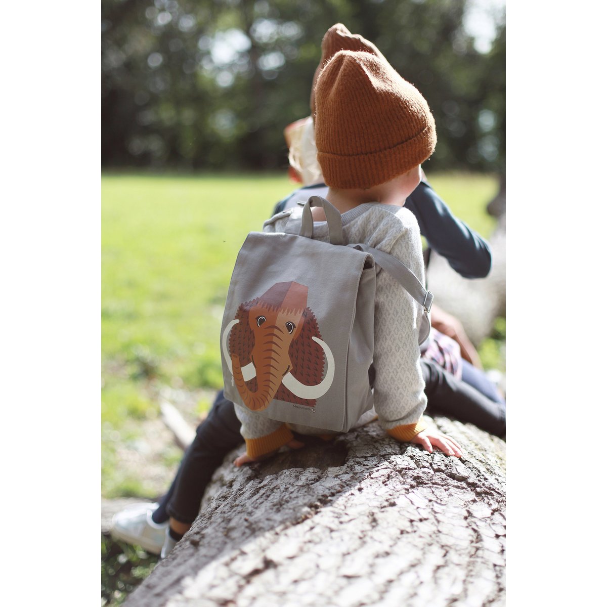 rucksack