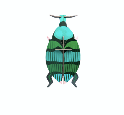 weevil beetle