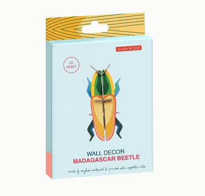 madagascar beetle