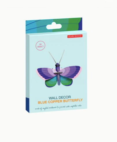 blue copper butterfly