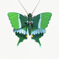 jade butterfly
