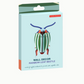 rainbow leaf beetle